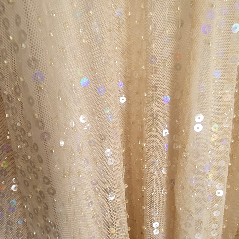 Zara Women's Beaded Sheer Sequins Maxi Dress Beige Size L - Picture 9 of 16
